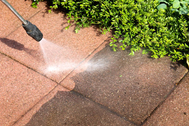 Best Exterior Home Cleaning  in East Foothills, CA
